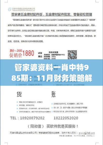 管家婆資料一肖中特985期：11月財(cái)務(wù)策略解析_OJV6.19.67精選版