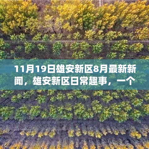雄安新區(qū)最新動態(tài)，秋日溫情時光里的趣事與日常進展