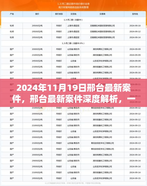 邢臺最新重大案件深度解析，社會印記與影響