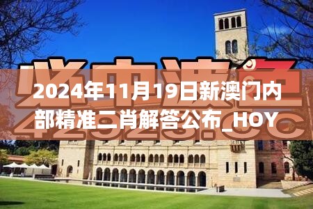 2024年11月19日新澳門內(nèi)部精準(zhǔn)二肖解答公布_HOY7.33.52獲取版