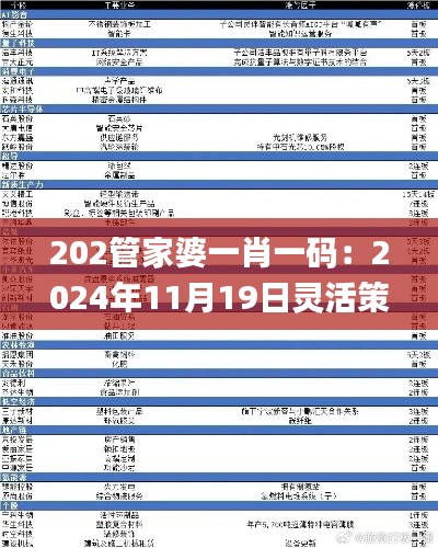 202管家婆一肖一碼：2024年11月19日靈活策略適配研究_RJD3.25.76版本