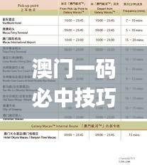 澳門一碼必中技巧解析，2024年11月19日解讀落實_ZPY2.79.47特別版