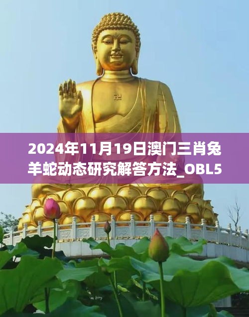 2024年11月19日澳門三肖兔羊蛇動態(tài)研究解答方法_OBL5.31.61大師版