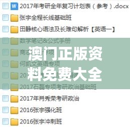 澳門正版資料免費大全新聞：2024年11月19日嚴謹計劃現(xiàn)象解析_WIP2.30.30測試版