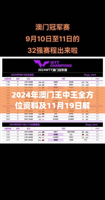 2024年澳門王中王全方位資料及11月19日解讀措施深度研究_DGN5.72.92專版