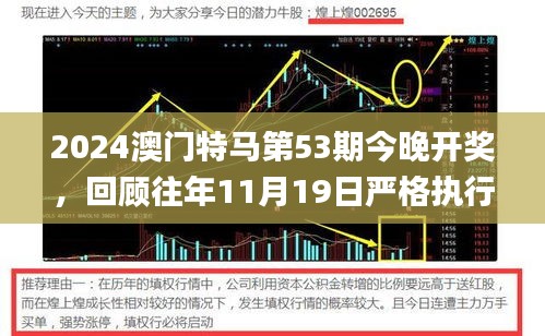 2024澳門特馬第53期今晚開(kāi)獎(jiǎng)，回顧往年11月19日嚴(yán)格執(zhí)行的解答與解析_SVN6.26.65豪華版本