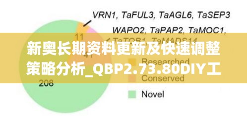 新奧長期資料更新及快速調(diào)整策略分析_QBP2.73.80DIY工具版