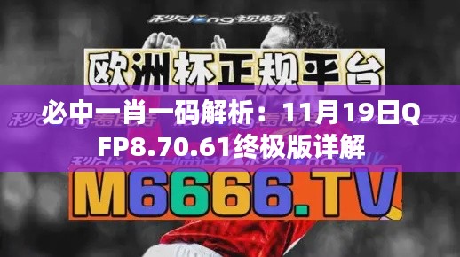 必中一肖一碼解析：11月19日QFP8.70.61終極版詳解