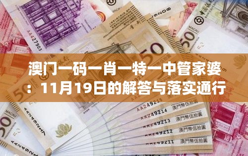 澳門一碼一肖一特一中管家婆：11月19日的解答與落實通行證版OVW7.56.77