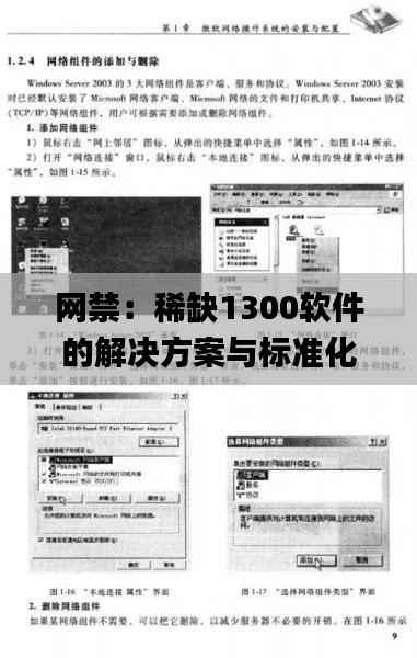 網(wǎng)禁：稀缺1300軟件的解決方案與標(biāo)準(zhǔn)化目標(biāo)實(shí)施_NMT4.13.88修訂版