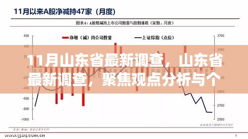 山東省最新調(diào)查聚焦觀點(diǎn)分析與個(gè)人立場(chǎng)揭秘（11月版）