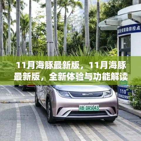 11月海豚最新版，全新體驗(yàn)與功能深度解讀