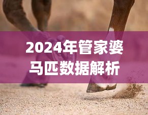 2024年管家婆馬匹數(shù)據(jù)解析及科學(xué)研究解答_IFU3.69.24旗艦版