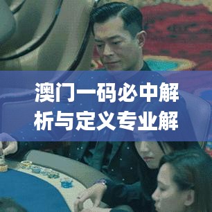 澳門一碼必中解析與定義專業(yè)解讀_IES3.30.39影像版