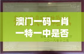 澳門一碼一肖一特一中是否合法？計(jì)算機(jī)科學(xué)與技術(shù) JJK6.65.75 優(yōu)雅版