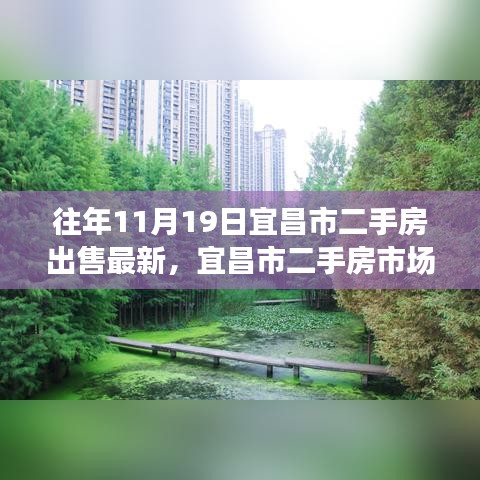 揭秘往年11月19日宜昌市二手房市場(chǎng)風(fēng)云再起，最新出售動(dòng)態(tài)全解析