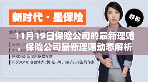 保險公司最新理賠動態(tài)解析，以11月19日為例的理賠報告發(fā)布