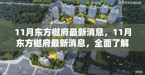 11月東方樾府最新動態(tài)，全面理解與參與指南