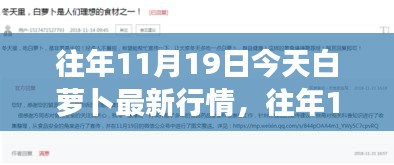 往年11月19日白蘿卜市場行情概覽與最新行情分析