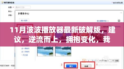 11月波波播放器最新破解版，建議，逆流而上，擁抱變化，我與11月波波播放器最新破解版的勵志故事