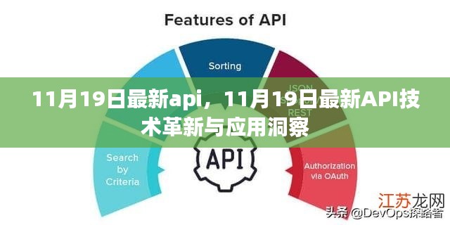 11月19日最新api，11月19日最新API技術(shù)革新與應(yīng)用洞察