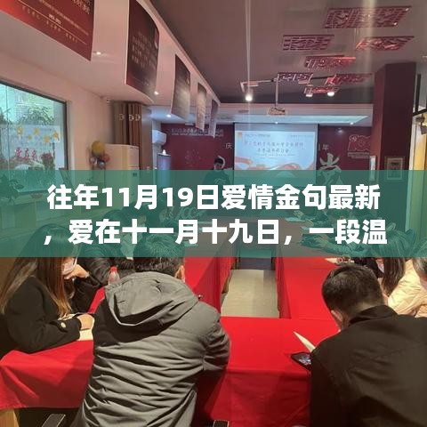 往年11月19日愛情金句最新，愛在十一月十九日，一段溫馨有趣的日常故事