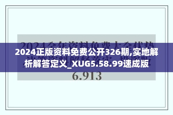 2024正版資料免費(fèi)公開326期,實(shí)地解析解答定義_XUG5.58.99速成版