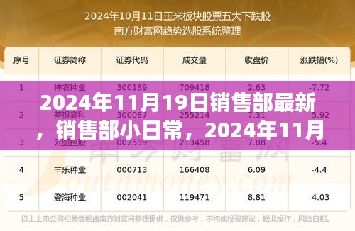2024年11月19日銷售部最新，銷售部小日常，2024年11月19日的溫馨趣事