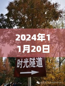 揭秘，郯城邳州事件最新動(dòng)態(tài)與真相揭秘（2024年11月20日）