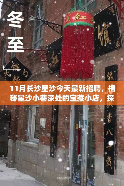 11月長沙星沙今天最新招聘，揭秘星沙小巷深處的寶藏小店，探索長沙最新招聘背后的故事