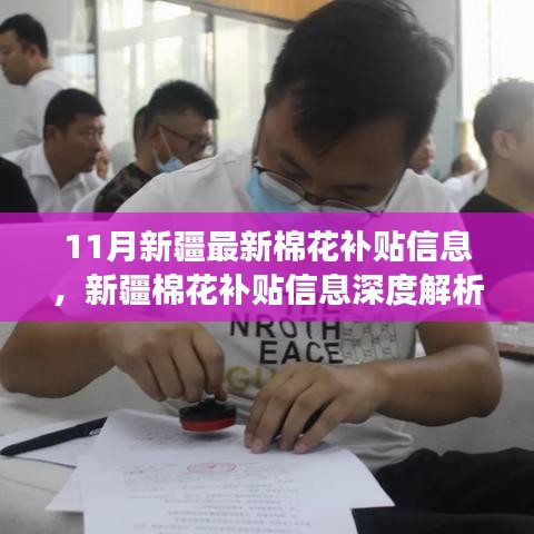 新疆棉花補(bǔ)貼信息深度解析，特性、體驗(yàn)、對(duì)比與用戶(hù)需求洞察報(bào)告發(fā)布