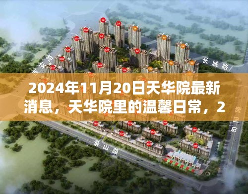 2024年11月20日天華院最新消息，天華院里的溫馨日常，2024年11月20日的奇遇