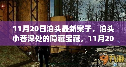 泊頭小巷深處的隱藏寶藏，最新探秘之旅（11月20日最新消息）