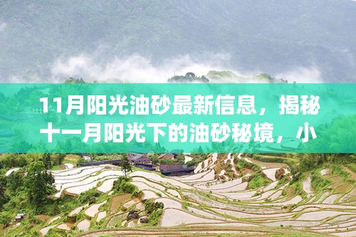 揭秘十一月陽光下的油砂秘境，小巷獨特小店之旅的最新信息