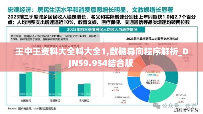 王中王資料大全料大全1,數(shù)據(jù)導(dǎo)向程序解析_DJN59.954結(jié)合版