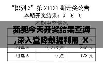 新奧今天開獎結果查詢,深入登降數據利用_XVC59.182實用版