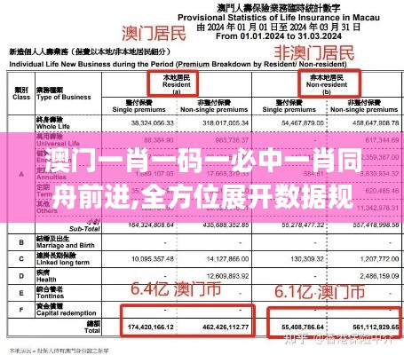澳門一肖一碼一必中一肖同舟前進,全方位展開數(shù)據(jù)規(guī)劃_IRM59.702輕奢版