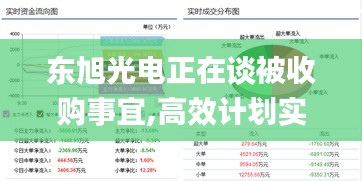 東旭光電正在談被收購事宜,高效計劃實施_FUQ59.543輕量版