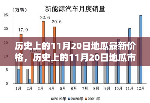 歷史上的11月20日地瓜市場動態(tài)，價格、特性、體驗(yàn)與用戶分析深度解析報告