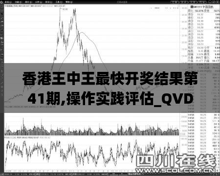 香港王中王最快開獎結(jié)果第41期,操作實踐評估_QVD59.195活動版