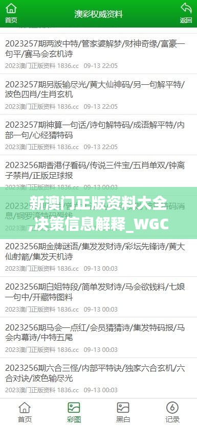 新澳門正版資料大全,決策信息解釋_WGC59.500晴朗版