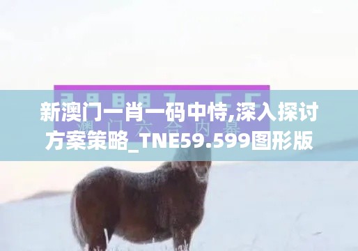 新澳門一肖一碼中恃,深入探討方案策略_TNE59.599圖形版
