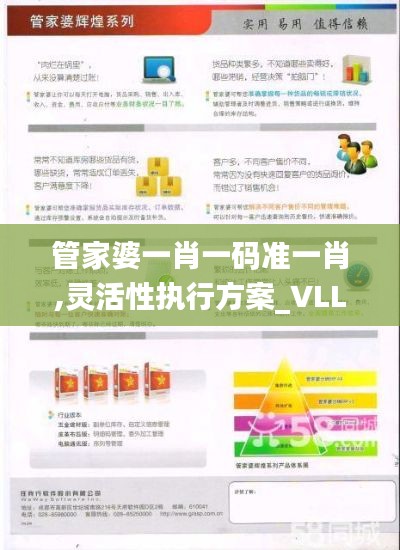 管家婆一肖一碼準(zhǔn)一肖,靈活性執(zhí)行方案_VLL59.825媒體宣傳版