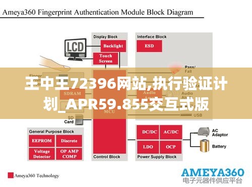 王中王72396網(wǎng)站,執(zhí)行驗證計劃_APR59.855交互式版