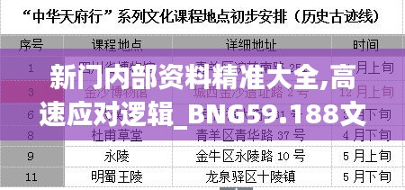 新門內(nèi)部資料精準(zhǔn)大全,高速應(yīng)對邏輯_BNG59.188文化版