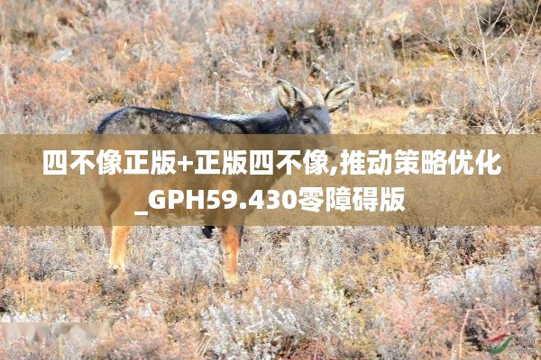 四不像正版+正版四不像,推動(dòng)策略優(yōu)化_GPH59.430零障礙版