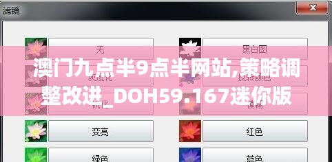 澳門九點半9點半網(wǎng)站,策略調(diào)整改進_DOH59.167迷你版