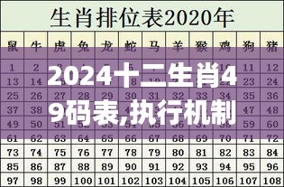 2024十二生肖49碼表,執(zhí)行機(jī)制評估_BIR59.210定向版