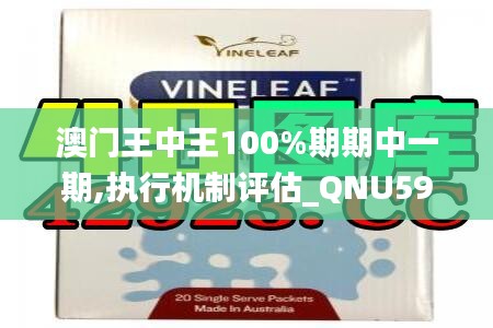 澳門王中王100%期期中一期,執(zhí)行機制評估_QNU59.152高端體驗版