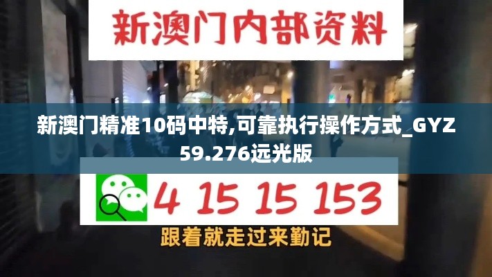 新澳門精準(zhǔn)10碼中特,可靠執(zhí)行操作方式_GYZ59.276遠(yuǎn)光版